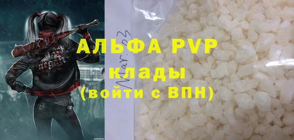 ГАЛЛЮЦИНОГЕННЫЕ ГРИБЫ Козловка