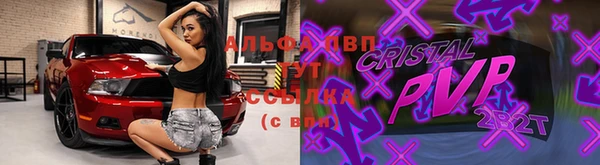 ГАЛЛЮЦИНОГЕННЫЕ ГРИБЫ Козловка