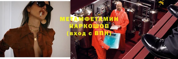 ГАЛЛЮЦИНОГЕННЫЕ ГРИБЫ Козловка