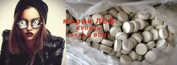 ГАЛЛЮЦИНОГЕННЫЕ ГРИБЫ Козловка