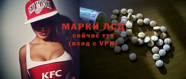 ГАЛЛЮЦИНОГЕННЫЕ ГРИБЫ Козловка