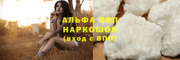 ГАЛЛЮЦИНОГЕННЫЕ ГРИБЫ Козловка