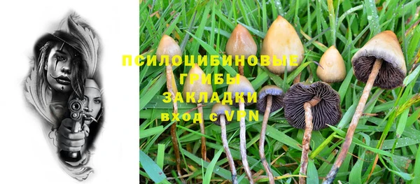 ГАЛЛЮЦИНОГЕННЫЕ ГРИБЫ Козловка