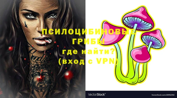 ГАЛЛЮЦИНОГЕННЫЕ ГРИБЫ Козловка