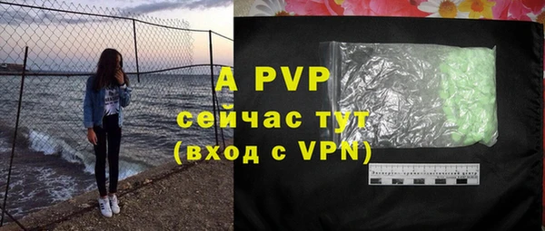 ГАЛЛЮЦИНОГЕННЫЕ ГРИБЫ Козловка