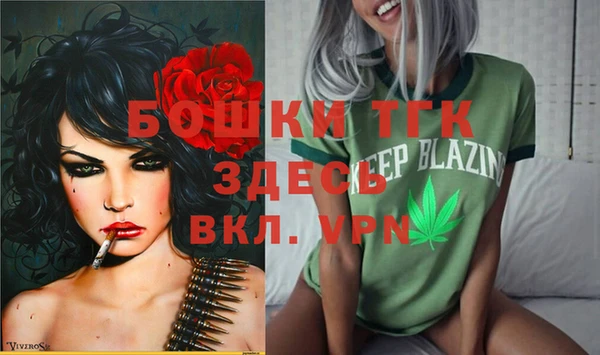 ГАЛЛЮЦИНОГЕННЫЕ ГРИБЫ Козловка