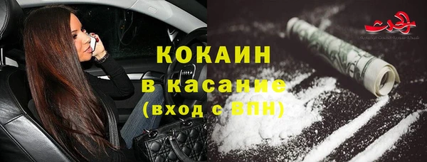 ГАЛЛЮЦИНОГЕННЫЕ ГРИБЫ Козловка