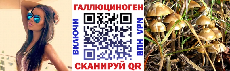 Псилоцибиновые грибы Cubensis  дарнет шоп  Арзамас 